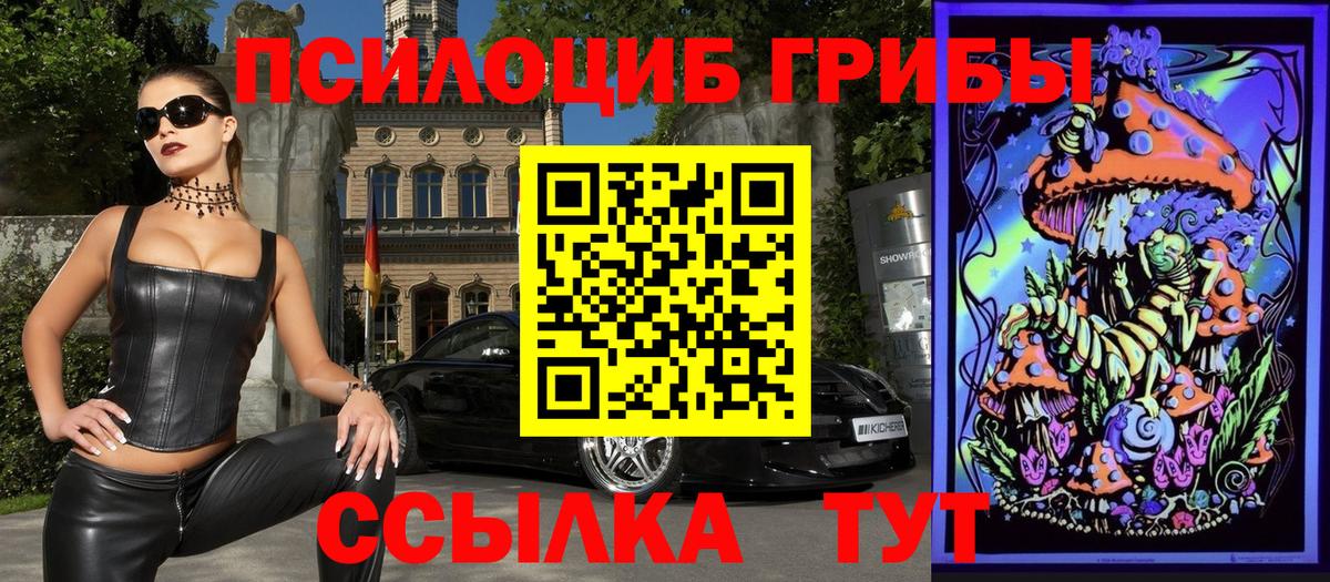 Галлюциногенные грибы Psilocybe  Псилоцибиновые грибы мухоморы  Вход с VPN  Сертолово 