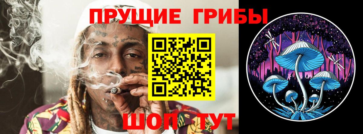 Псилоцибиновые грибы мухоморы Сертолово
